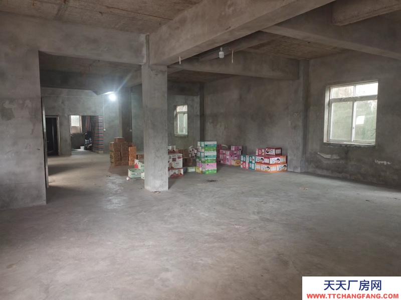 龍馬潭石洞街道花博園廠房倉庫出租