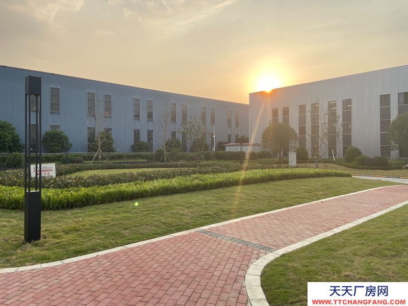 城北單層鋼結構現房出租,高速路口,花園廠房!