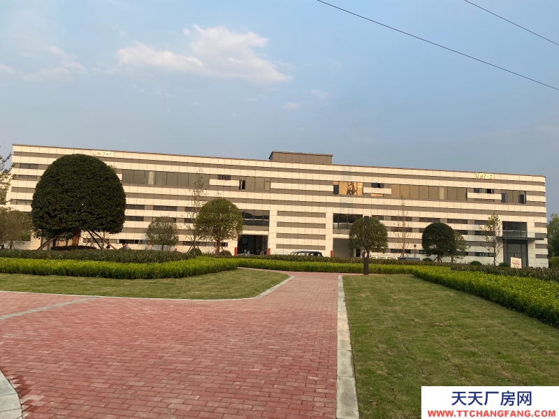 城北單層鋼結構現房出租,高速路口,花園廠房!