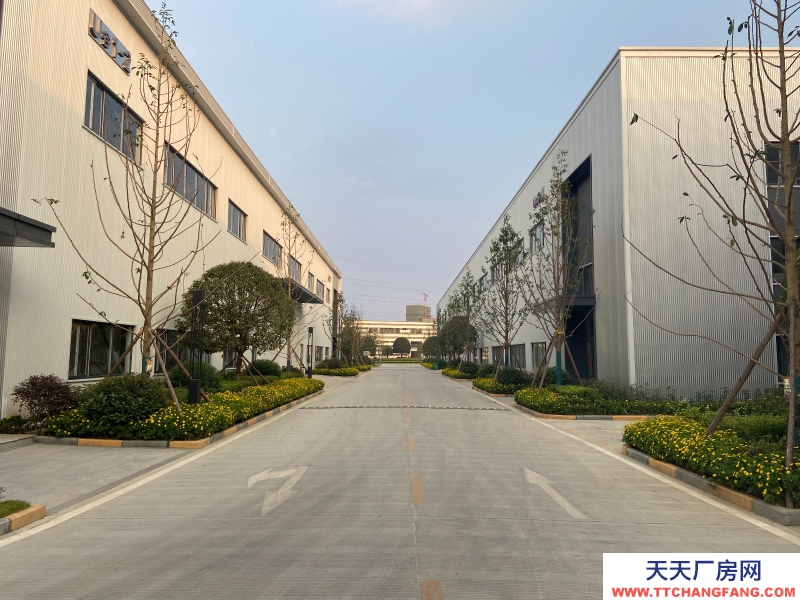 城北單層鋼結構現房出租,高速路口,花園廠房!