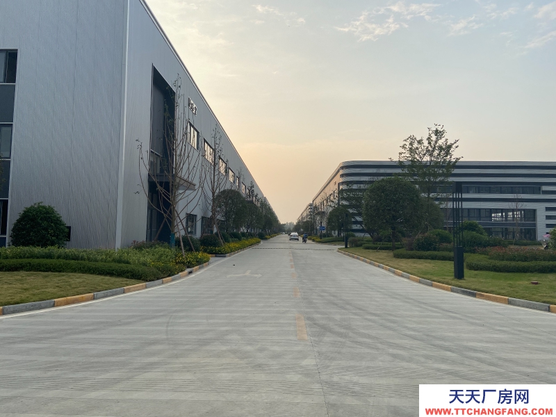 城北單層鋼結構現房出租,高速路口,花園廠房!