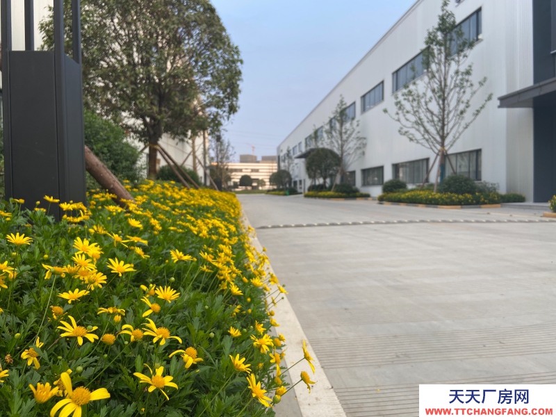 城北單層鋼結構現房出租,高速路口,花園廠房!