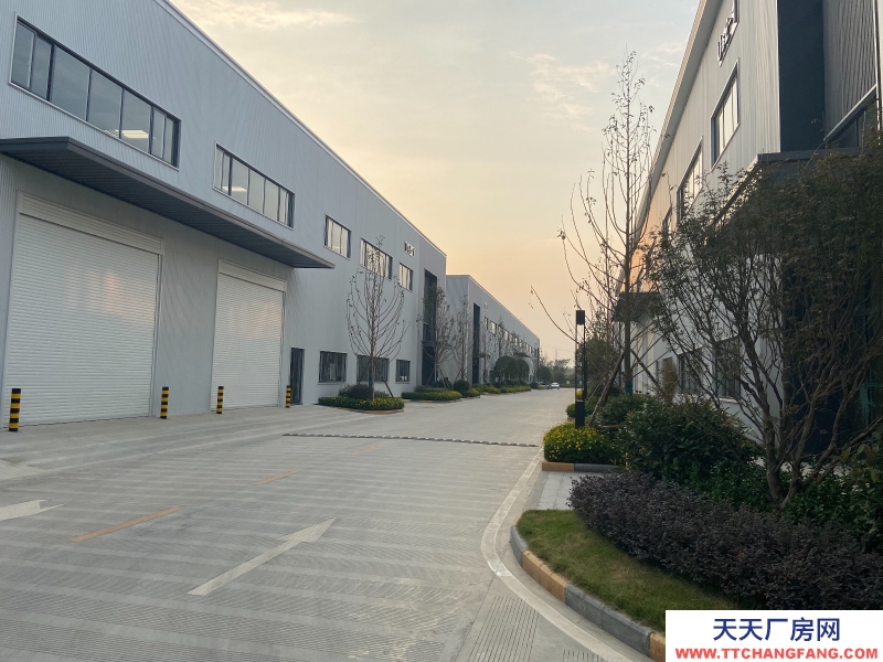 城北單層鋼結構現房出租,高速路口,花園廠房!