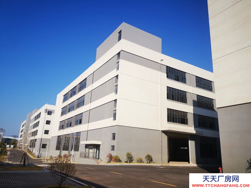 【零租金】贛州市贛縣區(qū)廠房辦公樓出租近高速路口配套齊全稀土產(chǎn)業(yè)集群地