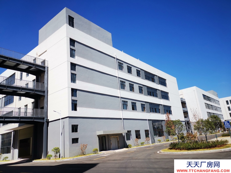 江西贛州廠房招商科技型企業免費入駐配套齊全政策力度大