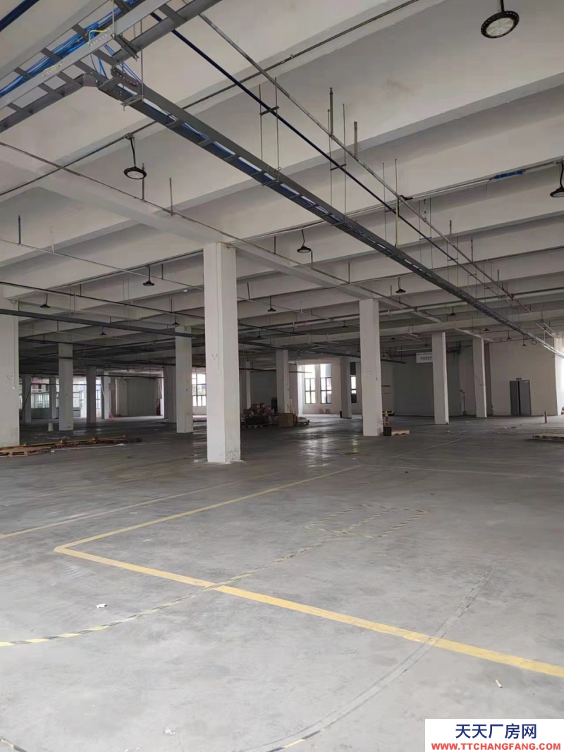 標(biāo)準(zhǔn)廠房I可分租I項(xiàng)目可免租
