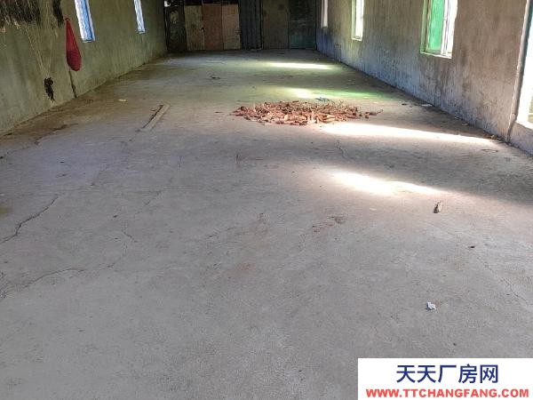 大洼可做倉庫，廠房，有三項電。