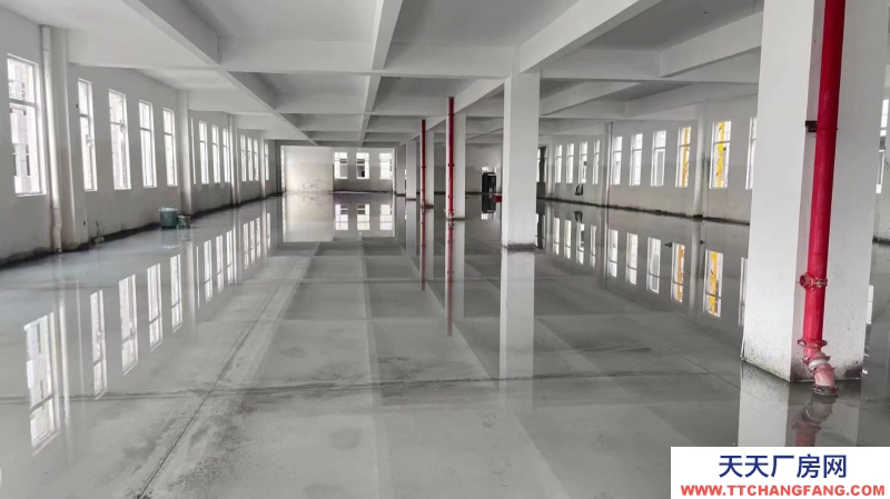 開發(fā)商直售：首付兩成起獨立產權廠房招商可定制