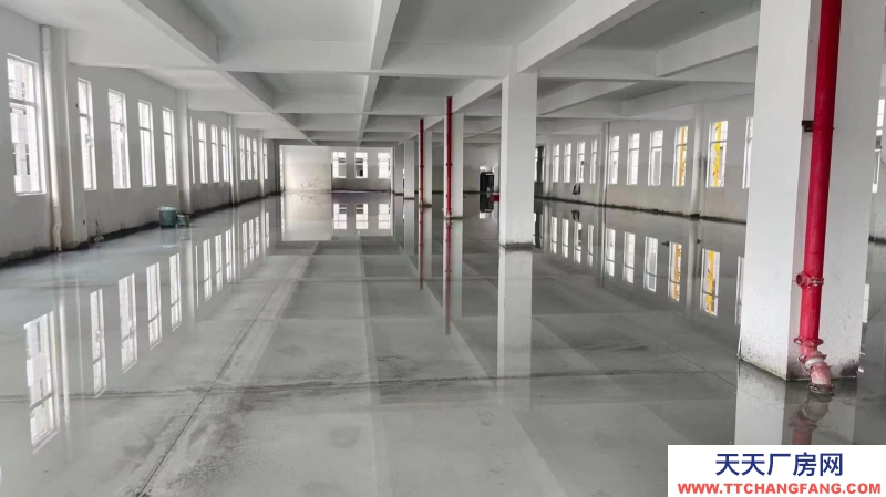 金壇南園區獨立產權10米層高火車頭園區廠房對外出售