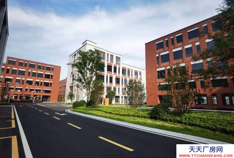 天府新區視高S5號線旁 50年產權廠房招商 1100平起獨棟 贈送面積大 得房率最高120%