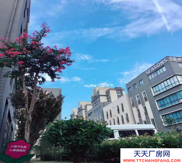 合肥富邦產(chǎn)業(yè)園-花園式獨(dú)棟辦公樓-核心位置-交通便利