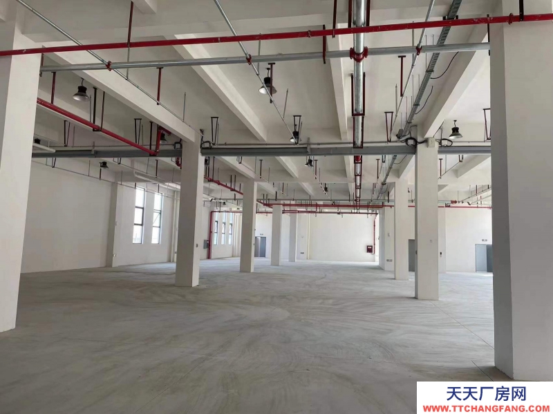 新都新材料智造產(chǎn)業(yè)園區(qū)標(biāo)準(zhǔn)廠房出租