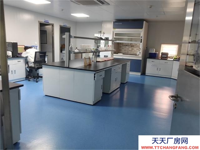 青白江2800平鋼結(jié)構(gòu)廠房現(xiàn)房出租