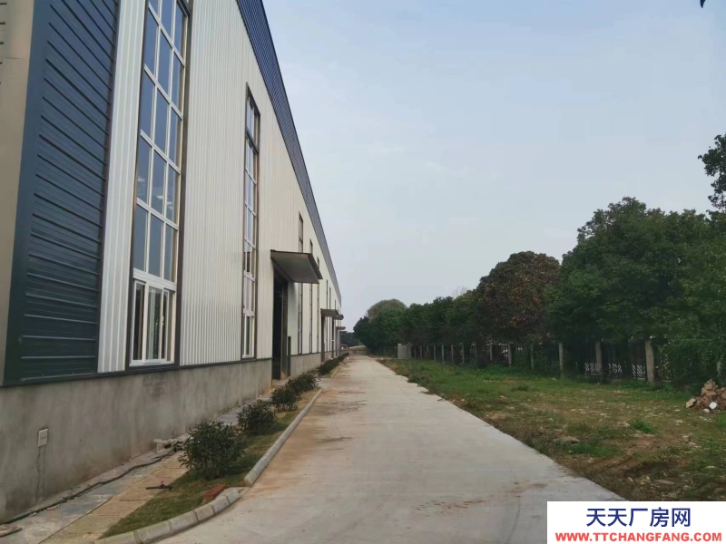 蒲江食品產業園標準鋼結構廠房2400平米出租