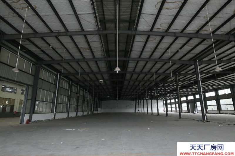 大邑沙渠園區標準鋼結構廠房出租20000平