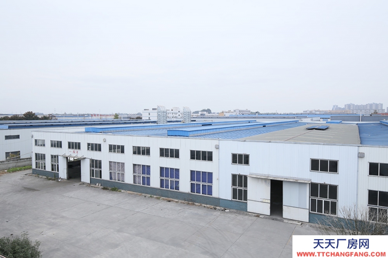 成都大邑沙渠園區標準鋼結構廠房出租3200平可分租可環評
