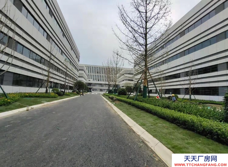 高新西區華為、京東方之間的 電子產業園區582—24000㎡品質園區出租