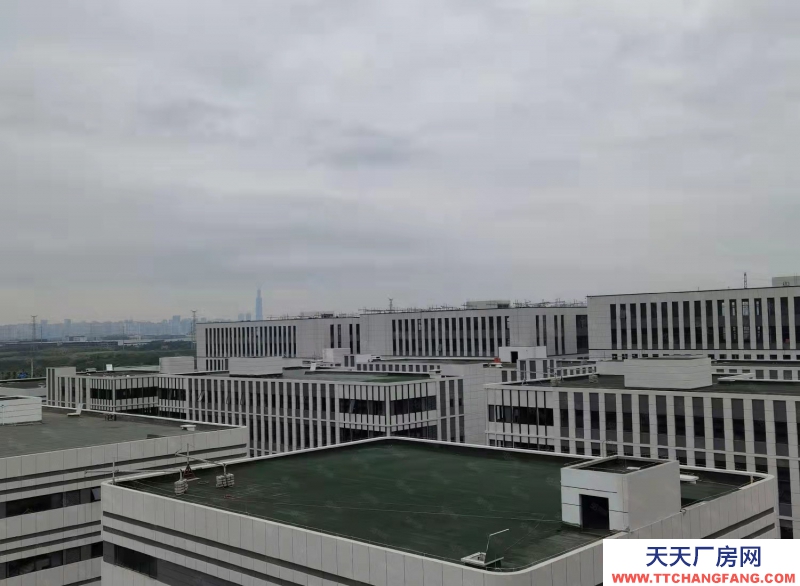 高新西區華為、京東方之間的 電子產業園區582—24000㎡品質園區出租