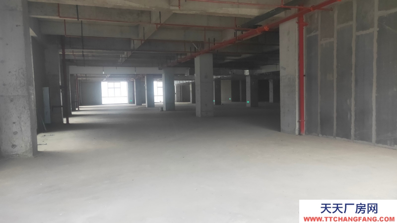 【園區(qū)直租】500-1000m2廠房、生產(chǎn)辦公、研發(fā)、新能源智能制造、檢驗(yàn)檢測(cè)、;國(guó)有資產(chǎn)平臺(tái),政策扶持,可享免租