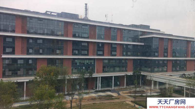 【園區(qū)直租】500-1000m2廠房、生產(chǎn)辦公、研發(fā)、新能源智能制造、檢驗(yàn)檢測(cè)、;國(guó)有資產(chǎn)平臺(tái),政策扶持,可享免租