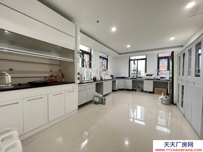 新年特惠特價！無中介費開發商直租，50年工業產權可以辦理全資質，精裝實驗室