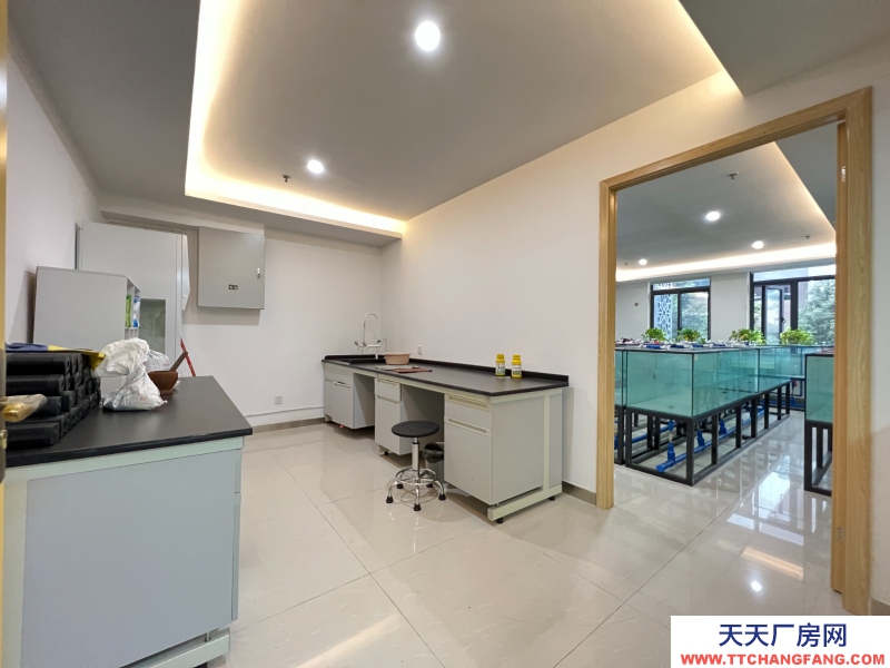 新年特惠特價!無中介費開發商直租,50年工業產權可以辦理全資質,精裝實驗室