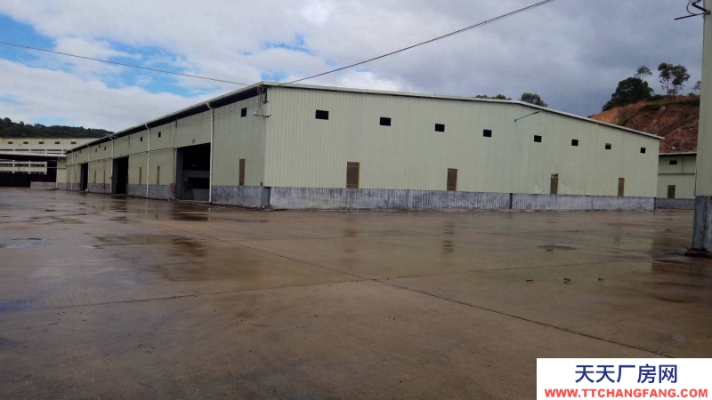 惠州市博羅縣園洲鎮45000平方單層獨院廠房出租