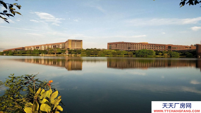 惠州市惠城區水口鎮3600平連排全新廠房出售