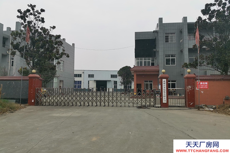 大邑沙渠園區標準鋼結構廠房出租