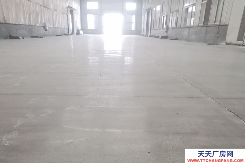 大邑沙渠園區標準鋼結構廠房出租