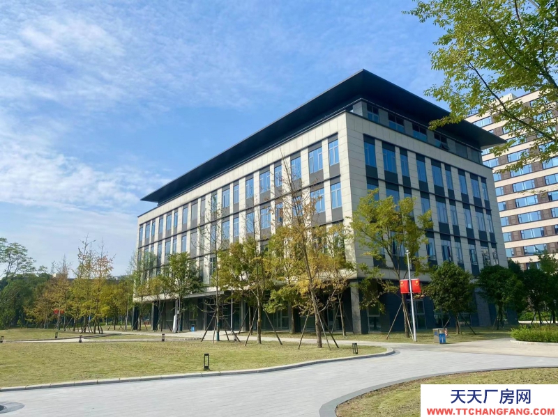 租售雙流新城科技產(chǎn)業(yè)園,獨棟平層,電子信息醫(yī)療入