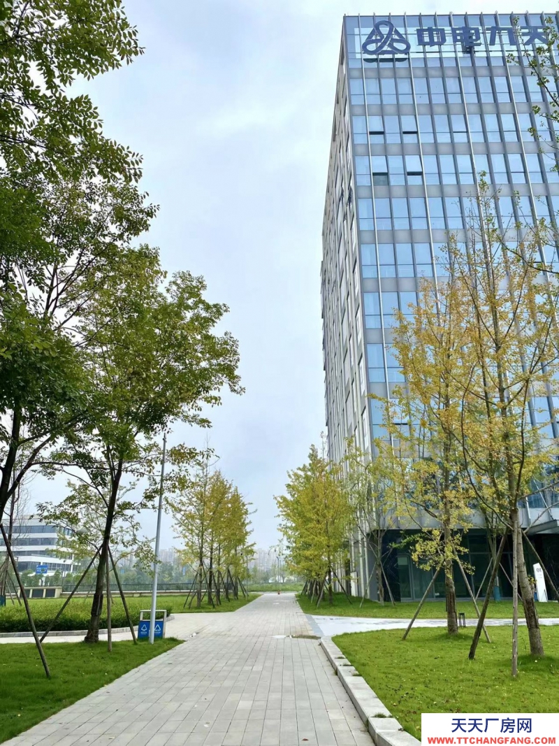 租售雙流新城科技產(chǎn)業(yè)園,獨棟平層,電子信息醫(yī)療入