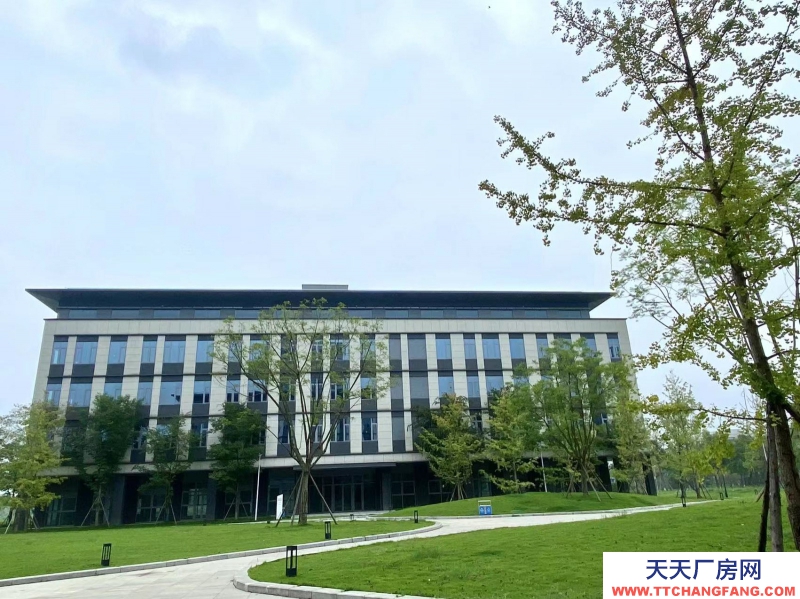 租售雙流新城科技產(chǎn)業(yè)園,獨棟平層,電子信息醫(yī)療入