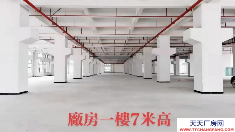 惠州博羅縣龍溪鎮(zhèn)1000平方工廠辦公和廠房出售