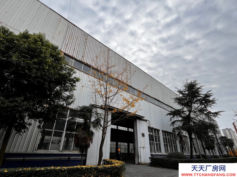 出租金牛沙河源 廠房 倉庫 場地 川建園區內