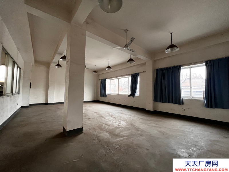 出租金牛沙河源 廠房 倉庫 場地 川建園區內