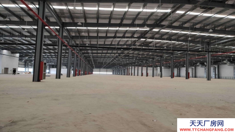 廣東省東莞市鳳崗鎮(zhèn)１２０００平方物流倉庫出租