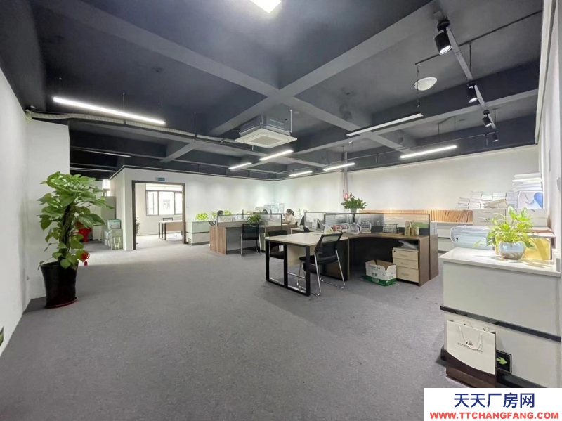 新年特惠特價！無中介費開發商直租，精裝修辦公，6隔間+30工位，可辦公實驗