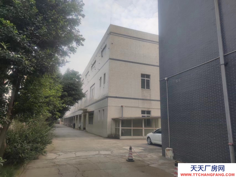 獨(dú)門(mén)獨(dú)院標(biāo)準(zhǔn)廠房底價(jià)出租，房東直租！