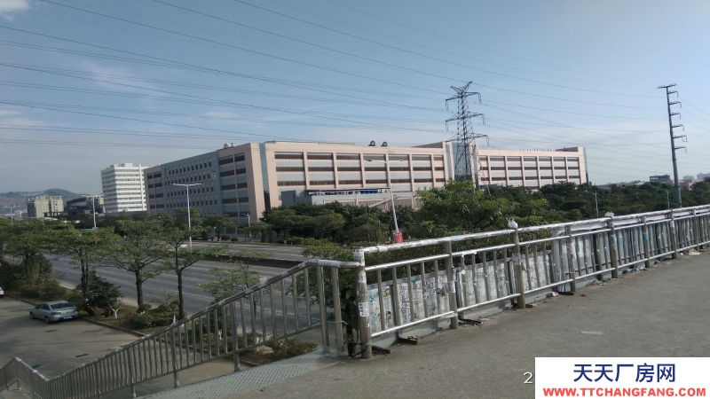 東莞市大嶺山12000平方獨門獨院廠房出租