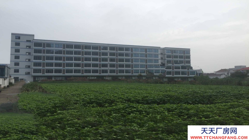 惠州市惠陽區新圩鎮1800平方紅本獨棟廠房出售