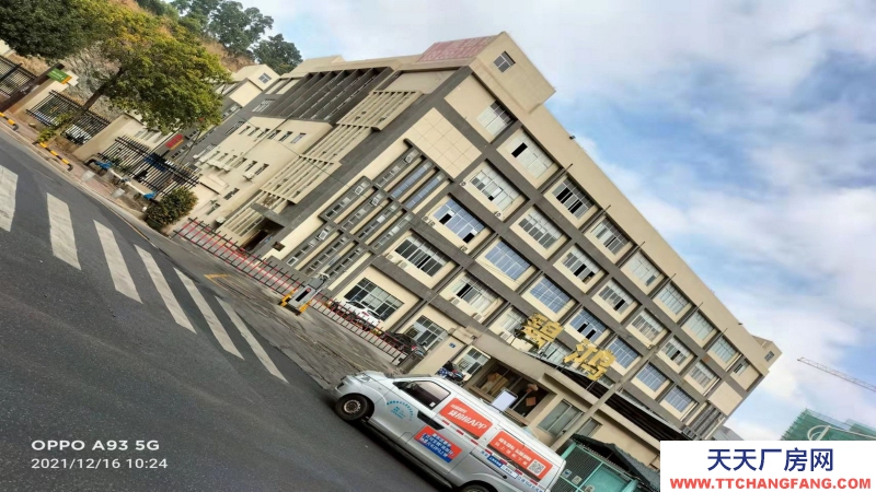 惠州市惠陽區新圩鎮1800平方紅本獨棟廠房出售