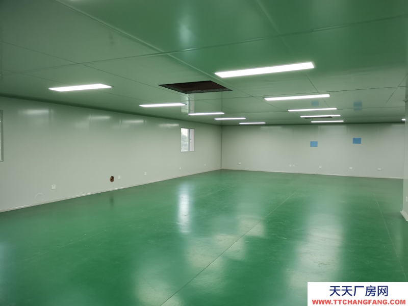 新年特惠特價！無中介費開發商直租，50年工業產權可以辦理全資質，可生產實驗