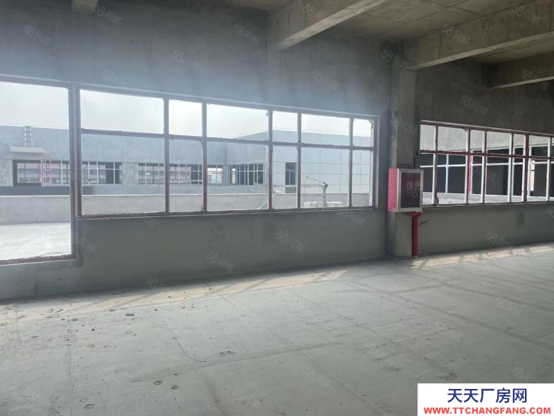 單層框架廠房 層高12.5米 50年產權 入園即可辦證