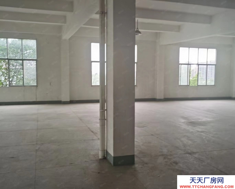 單層框架廠房 層高12.5米 獨(dú)立庭院 大車暢行 首付2成