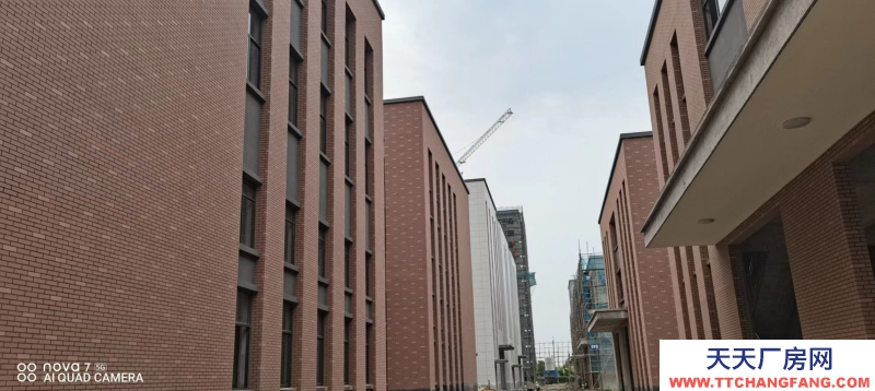 園區(qū)單層12米層高框架結(jié)構(gòu)入園辦證廠(chǎng)房對(duì)外出售