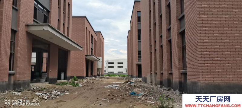 園區(qū)單層12米層高框架結(jié)構(gòu)入園辦證廠(chǎng)房對(duì)外出售