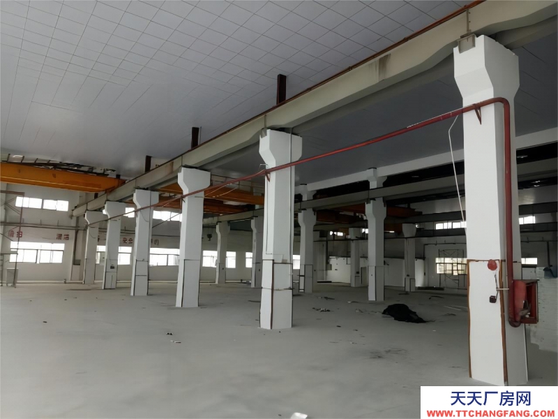 無錫周邊單層廠房 高12.5米 獨立庭院  入園即可辦證 可定制