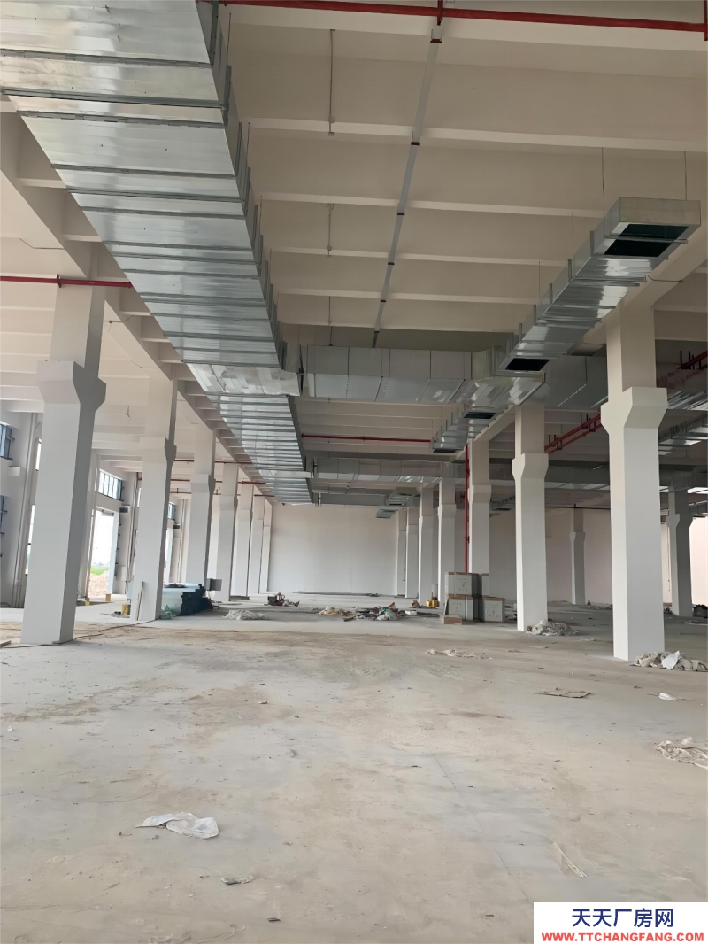 無錫周邊單層廠房 高12.5米 獨立庭院  入園即可辦證 可定制