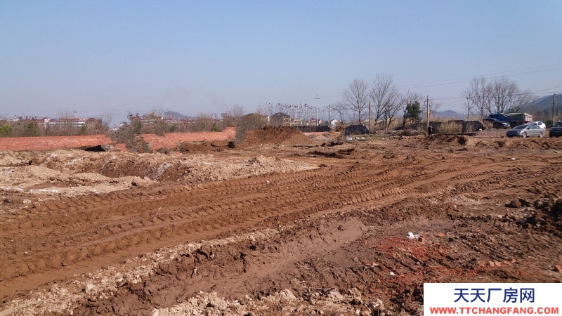 東莞市鳳崗鎮(zhèn)３０００平方米紅本全新六樓廠房出售